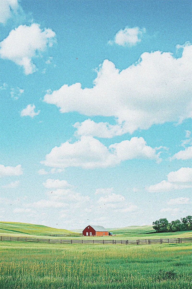 Logement neuf à louer Sutton